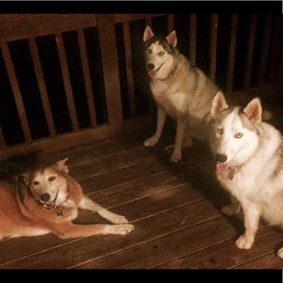 Meet your Posher, Cari - Picture 2 of 8